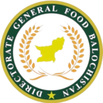 cropped svy5dyk3 400x400 removebg preview